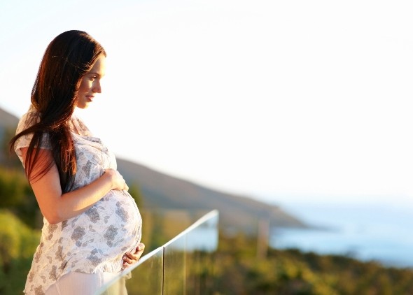 Pregnancy-Article1-590x422